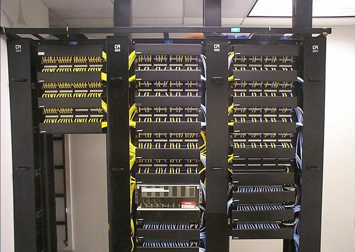 新疆藍光電腦科技 專業(yè)機房系統(tǒng)建設(shè)與計算機系統(tǒng)集成開發(fā)